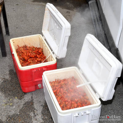 Hcdp 2019 - Let The Good Times Boil - ''Pinch, Peel, Eat, Repeat'' - Crawfish Boil At La Grange  <br><small>March 30, 2019</small>