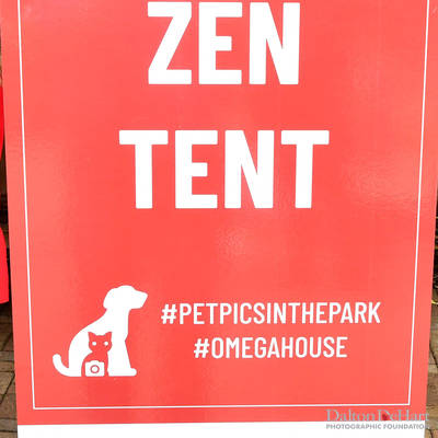 Chris Christopher Properties Presents ''Pet Pics In The Park'' Benefiting Omega House At Bering Church Courtyard  <br><small>May 22, 2021</small>