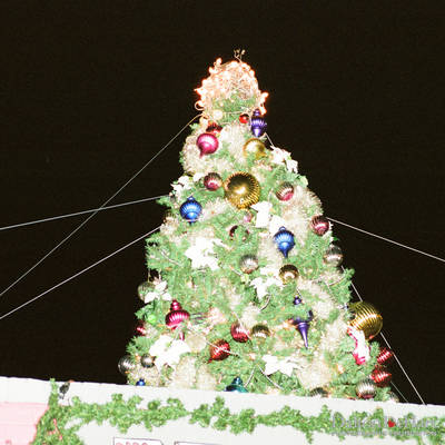 Mary's Christmas Tree <br><small>Dec. 10, 2000</small>