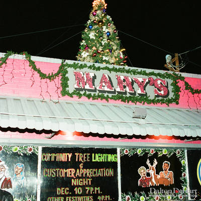 Mary's Christmas Tree <br><small>Dec. 10, 2000</small>