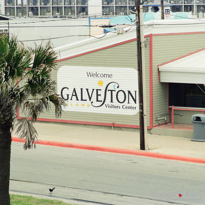 Houston Voice Trip to Galveston <br><small>April 29, 2001</small>