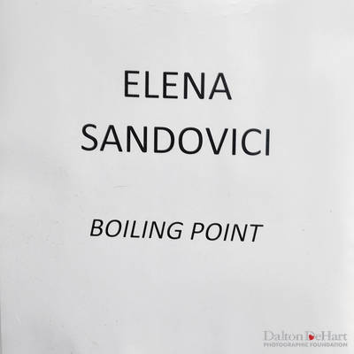 John Palmer Art - Elena Sandovici Solo Art Show ''Boiling Point''  <br><small>March 12, 2021</small>