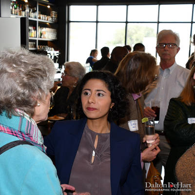 Lina Hidalgo New Year Fundraiser with Special Guest Sylvia R. Garcia at Poitin <br><small>Jan. 26, 2019</small>