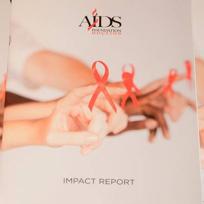 World Aids Day Luncheon 2013 - Afh At Westin Galleria  <br><small>Dec. 2, 2013</small>