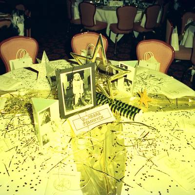 Diana Foundation 42nd Annual Awards <br><small>March 25, 1995</small>