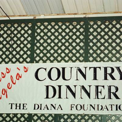 Diana Foundation <br><small>Oct. 13, 2001</small>