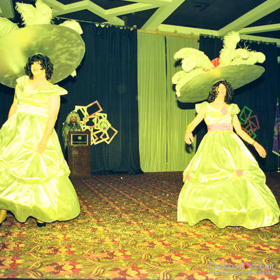 Krewe of Olympus <br><small>Feb. 4, 1995</small>