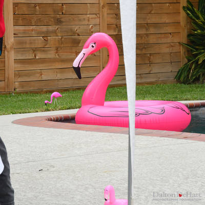 Underwriter's Party - "Let's Flamingle" at the Home of Donna Junkere <br><small>Sept. 24, 2016</small>